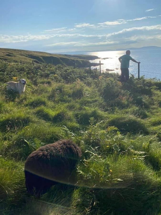 Unique luxurious cabin on sea view working croft Garrabost Extérieur photo